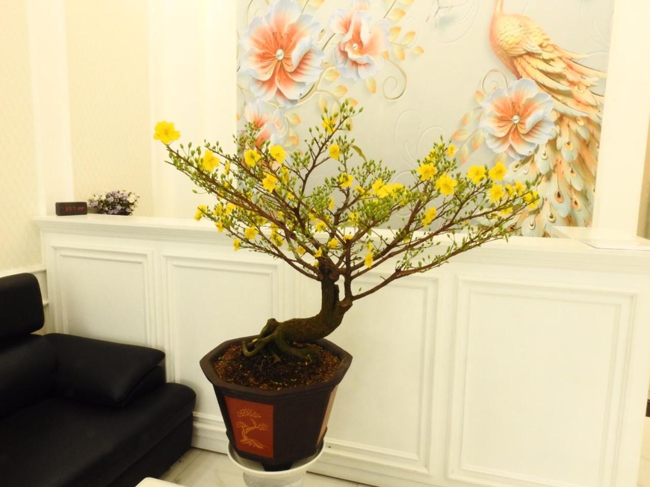 Daisy Hotel Ho Chi Minh City Exterior photo